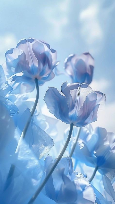 aesthetic cute wallpapers 4k lockscreen of blue tulips – lifeadorable Cute Wallpapers Aesthetic Light Blue, Light Blue Wallpapers Aesthetic, Blue Books Aesthetic Wallpaper, Sky Blue Flowers Aesthetic, Cute Blue Flower Wallpaper, Light Blue Flowers Aesthetic, Blue Aesthetic Background Landscape, Blue Asthetics Photos Wallpaper, Pretty Blue Wallpapers