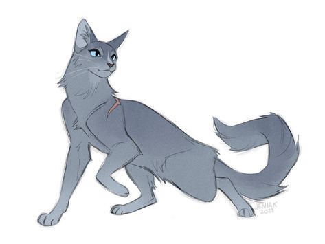 Bluestar Warrior Cats, Cartoon Cat Drawing, Warrior Cats Books, Cat Drawing Tutorial, Cats Art Drawing, Warrior Cats Fan Art, Warrior Cat Drawings, International Cat Day, Warrior Cat Oc