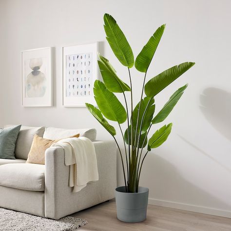 Ikea Artificial Plants, Wall Plants, Dead Leaves, Potted Plants Outdoor, Global Home, Artificial Potted Plants, Organization Furniture, Better Things, Ikea Family