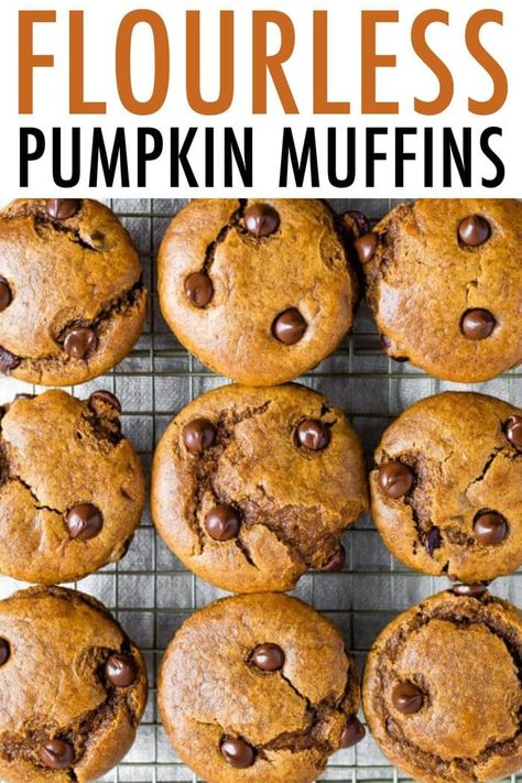 Flourless pumpkin muffins made with almond butter, chocolate chips and pumpkin. No flour, no oil and no dairy. 9 grams of protein in each muffin! #eatingbirdfood #muffin #pumpkin #flourless #chocolatechip #pumpkinspice #breakfast #snack #mealprep Flourless Pumpkin Chocolate Chip Muffins, Healthy Flourless Pumpkin Muffins, No Flour Pumpkin Muffins, Gf Pumpkin Muffins, Flourless Pumpkin Muffins, Coconut Flour Pumpkin Muffins, Protein Pumpkin Muffins, Muffin Pumpkin, Healthy Pumpkin Chocolate Chip Muffins