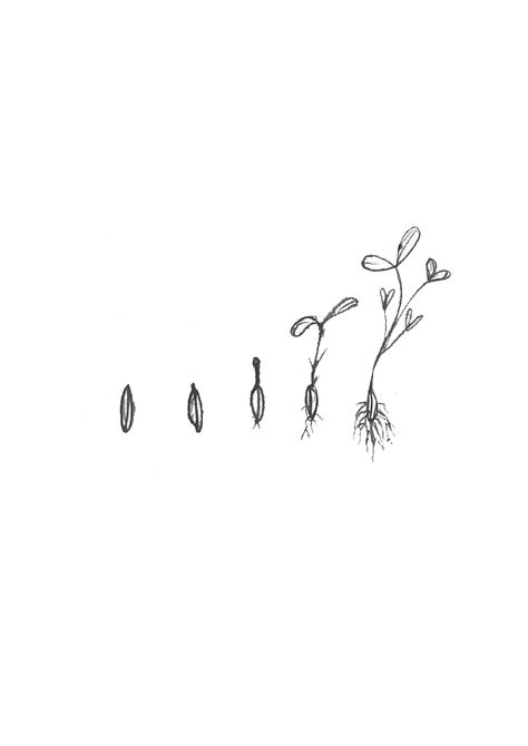 One per day on Behance Seed To Flower Tattoo, Seed Growing Tattoo, Growing Seed Tattoo, Soil Tattoo, Seed Sprouting Tattoo, Horticulture Tattoo, Seedling Tattoo Simple, Growing Plant Tattoo, Rooted Tattoo