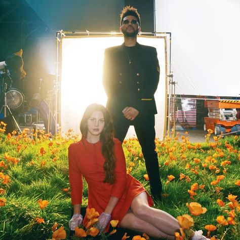 Lust For Life, The Weeknd, Lana Del Rey, For Life, Orange, Flowers