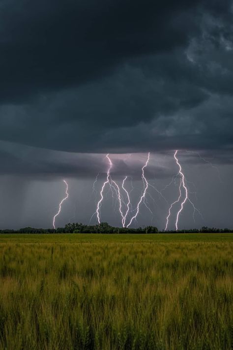 Thunder Photography, Lighting Storms, Gloomy Weather, Weather Science, Storm Art, Storm Photography, Photography Genres, World Wallpaper, Lightning Storm