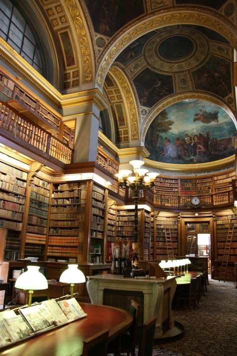 Beautiful Library Aesthetic, Fancy Library, European Library, Academia Library, Beautiful Libraries, Academic Aesthetic, National Assembly, Dream Library, Beautiful Library