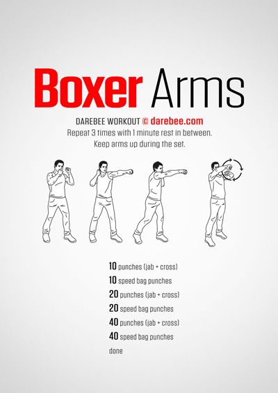 Boxer Arms Workout, Beginner Boxer Workout, Boxer Prime, Boxercise Workout, Shadow Boxing Workout, Punching Bag Workout, Boxer Workout, Boxing Workout Routine, Boxing Workout Beginner