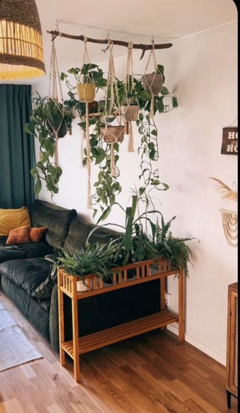 Wall Colors For Plant Room, High Ceiling Plant Hanging, Plant Room Living Room, Pothos Decor Ideas, How To Decorate With Plants, Ideas For Small Home, Hanging Plant Ideas, Koti Diy, Lots Of Plants