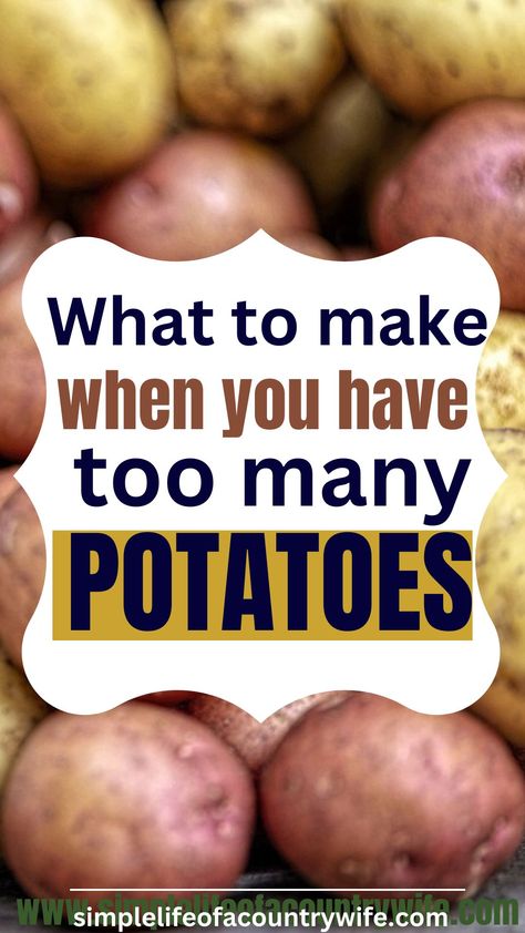 Recipes To Use Potatoes, Easy Cheap Potato Recipes, Ways To Use Up Potatoes, Bag Of Potatoes Recipes, Recipes To Use Up Potatoes, Things You Can Make With Potatoes, Dishes With Potatoes Dinners, What To Do With Lots Of Potatoes, What To Do With A Lot Of Potatoes