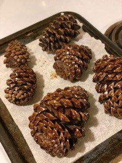 How To Bake Pinecones For Crafts, Pine Cone Tree Ornaments, Giant Pine Cone Crafts, Large Pine Cone Crafts Ideas, Cleaning Pinecones, Pine Cone Gnomes Diy, Pinecone Gifts, Large Pinecone Crafts, Pine Cone Animals