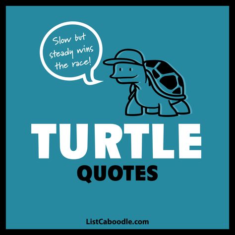 best turtle quotes and sayings Funny Turtle Quotes, Quotes About Turtles, Sea Turtle Sayings, Turtle Captions Instagram, Turtle Sayings Quotes, Turtle Quotes Inspiration, Sea Turtle Quotes, Turtle Sayings, Turtle Jokes