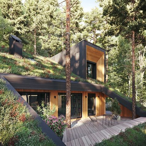 Green Roof Design, Green Roof House, Casa Hobbit, Eco House Design, Organic House, Earthship Home, Smart House, Underground Homes, Earth Homes