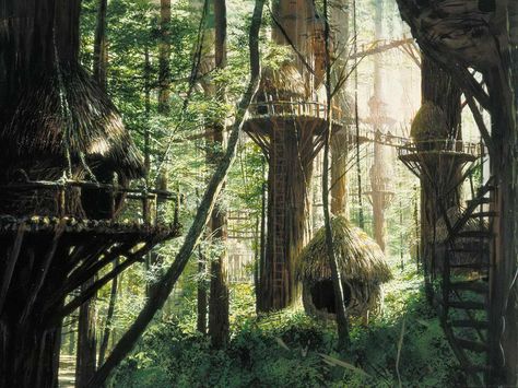 Located in Costa Rica. This village was used to film the original Star Wars trilogy. Northern California Road Trip, Star Wars Planets, Forest Moon, Ralph Mcquarrie, Redwood National Park, Between Two Worlds, Star Wars Trilogy, California Travel Road Trips, Tall Trees