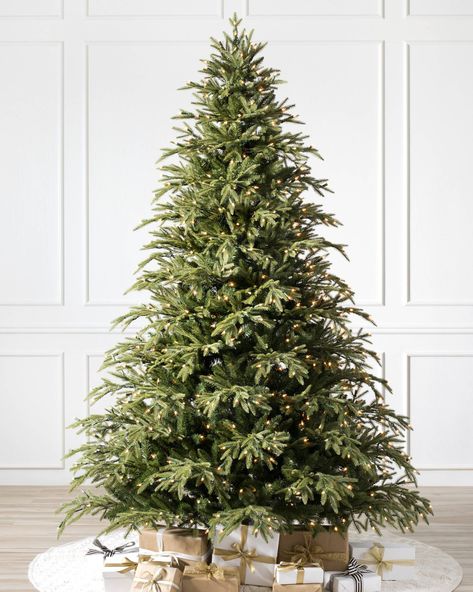 Brewer Spruce Artificial Christmas Tree from Balsam Hill Balsam Hill Christmas Tree Bellevue Spruce, Artificial Balsam Fir Christmas Tree, Faux Balsam Fir Tree Target, Narrow Christmas Tree, Balsam Hill Trees, Balsam Hill Christmas Tree, Balsam Hill Christmas Tree 7 Ft., Realistic Artificial Christmas Trees, Prelit Tree