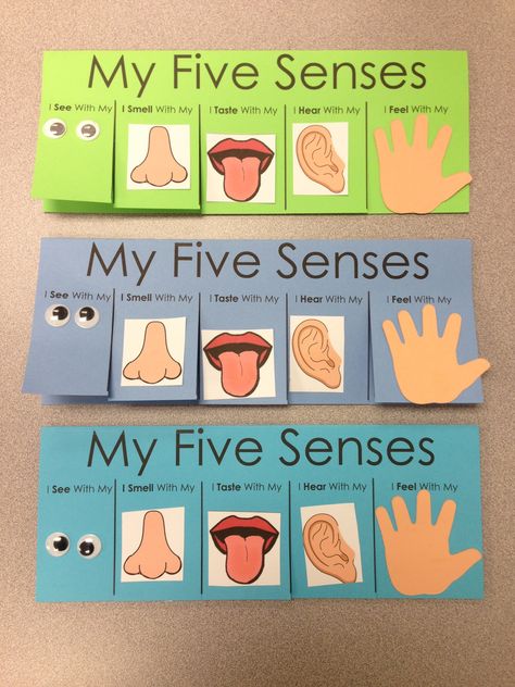 Five Senses Craft - flip book visit www.letsgetreadyforkindergarten.com 5 Senses Preschool, Five Senses Preschool, 5 Senses Activities, Senses Preschool, My Five Senses, Senses Activities, All About Me Preschool, The Five Senses, 5 Senses