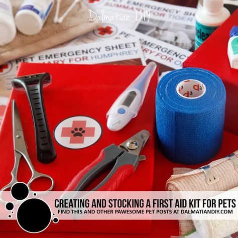 First Aid Kit Diy, First Aid Kit Items, Home First Aid Kit, Dog First Aid Kit, Pet First Aid Kit, Dog First Aid, First Aid Kit Contents, Emergency Go Bag, Pet First Aid