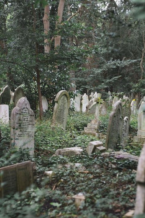 Small English Town Aesthetic, Tombstone Aesthetic, Bingo 2022, Environment Illustration, Old Cemetery, Setting Inspiration, Growth And Decay, Dark Green Aesthetic, Old Cemeteries