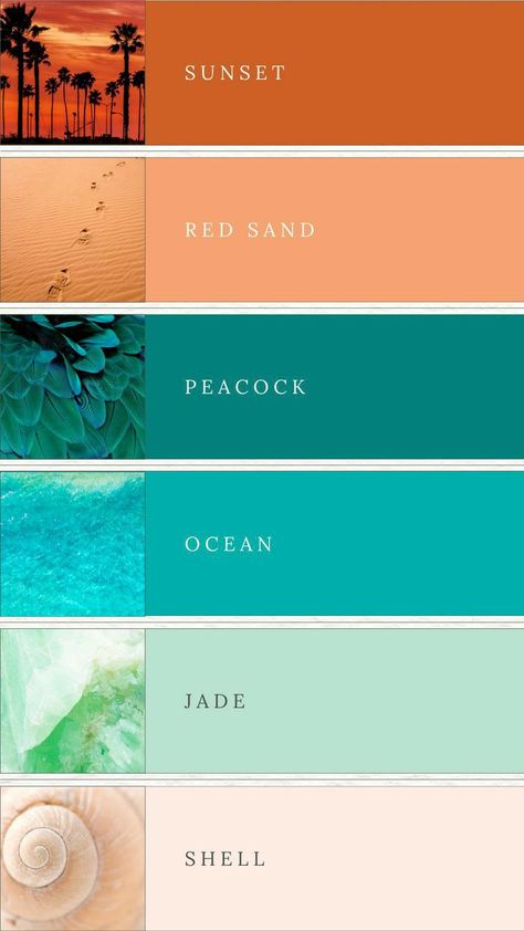 Colours That Go With Turquoise, Turquoise Terracotta Color Schemes, Teal Colors Palette, Beach Summer Color Palette, August Color Scheme, Colors That Go Good Together, Neon Coral Color Palette, Summer Garden Color Palette, Colour Palette Turquoise