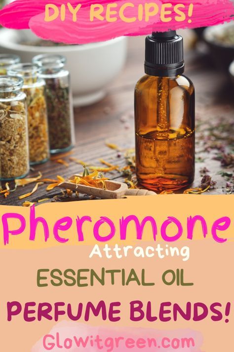 Make DIY perfume blends with attraction properties at Glowitgreen.com! Pheromones, the mystical chemical compounds in our bodies that signal attraction, can be mimicked by certain essential oils and mixed into recipes to inspire love, attraction, and warmth! Click for more information about pheromone scents, and be inspired by these blend recipes to create your love potions! Love Potion Essential Oil Blend, Pheromone Essential Oil Blend, How To Make Pheromone Oil, Diy Pheromone Perfume, Pheromone Perfume Diy, Essential Oil Perfume Spray, Natural Perfume Recipes, Essential Oil Cologne, Diy Perfume Oil