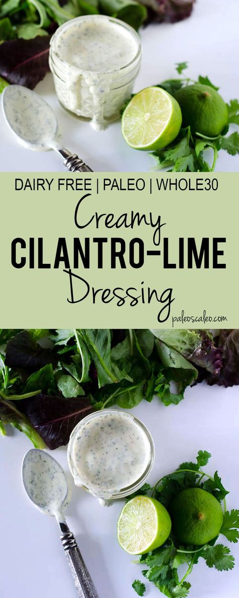 Creamy Cilantro Lime Dressing, Cilantro Lime Sauce, Cilantro Dressing, Cilantro Sauce, Cilantro Lime Dressing, Boiled Egg Diet Plan, Boiled Egg Diet, Lime Sauce, Low Sugar Recipes