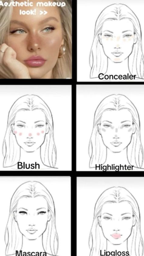 Makeup Tutorial Pictures Step By Step, Where To Place Makeup On Face, Where To Put Makeup On Face, Makeup Tutorials Step By Step, School Makeup Tutorial, Makeup Routine Guide, Back To School Makeup, Asian Makeup Tutorials, Enhance Beauty