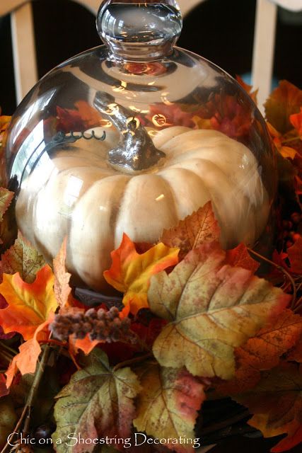 Fall Cloche Ideas, Fall Cloche, Cloche Ideas, Fall Lovers, Pretty Pumpkins, Fall Deco, Autumn Decorating, Budget Friendly Decor, Fall Decorating Ideas