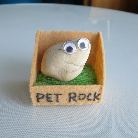 Pet Rock Ideas Diy, Rock Pet Ideas, Small Christmas Gifts Ideas, Easy Craft Ideas To Sell, Diy Gifts Family, Pet Rock House, Rocks With Googly Eyes, Pet Rock Ideas, Diy Things To Make And Sell