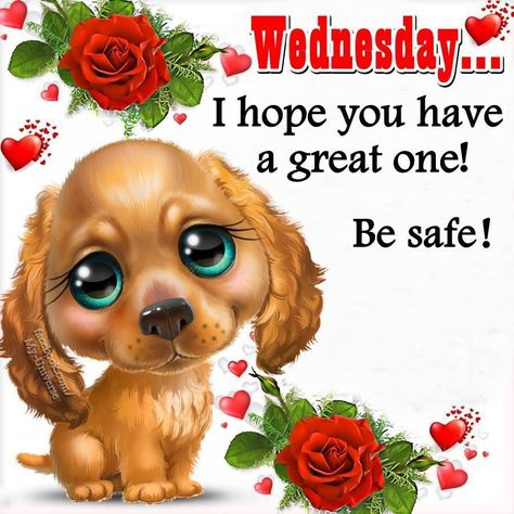 Hope you have a great Wednesday wednesday quotes wednesday blessings wednesday quotes and sayings wednesday images Wednesday Morning Images, Wednesday Pictures, Quotes Career, Quotes Sunday, Inspirational Friend Quotes, Happy Thursday Images, Wednesday Greetings, Quotes Good, Quotes Successful