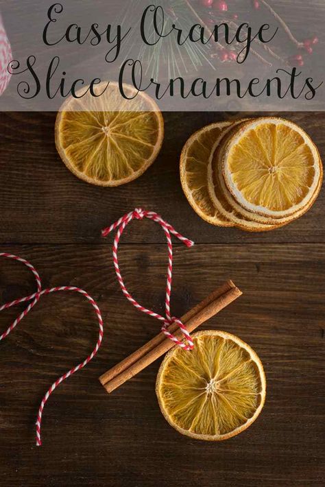 Old-fashioned orange slice ornaments tutorial. These classic Christmas ornaments are great to make with your kids and smell so delicious! Orange Slice Ornaments, Christmas Crafts For Adults, Orange Slice, Crafts For Adults, Vintage Botanical, Cinnamon, Christmas Crafts, Orange, Christmas