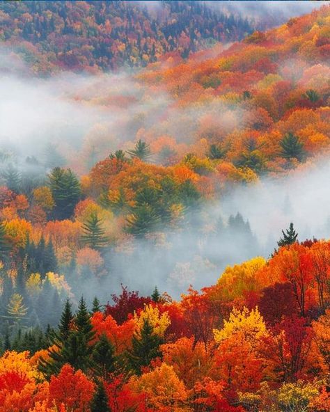 Green Mountains Vermont, Green Mountains, Autumn Scenery, Autumn Beauty, Green Mountain, Fall Pictures, Nature Scenes, Vermont, Coloring Books