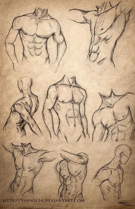 20 Human Anatomy Drawing Ideas and Pose References - Beautiful Dawn Designs Male Body Sketches, Oc Maker, Drawing Hands, Human Anatomy Drawing, Body Sketches, Different Poses, Drawing Faces, Anatomy Drawing, Body Drawing