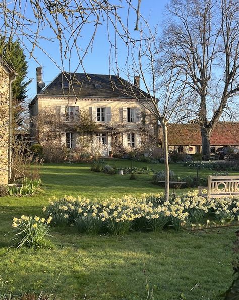 Daffodils Garden, Houses Country, French Cottage Garden, French Garden Design, English Country Cottages, Chateaux Interiors, My French Country Home, Country Cottages, French Country Garden