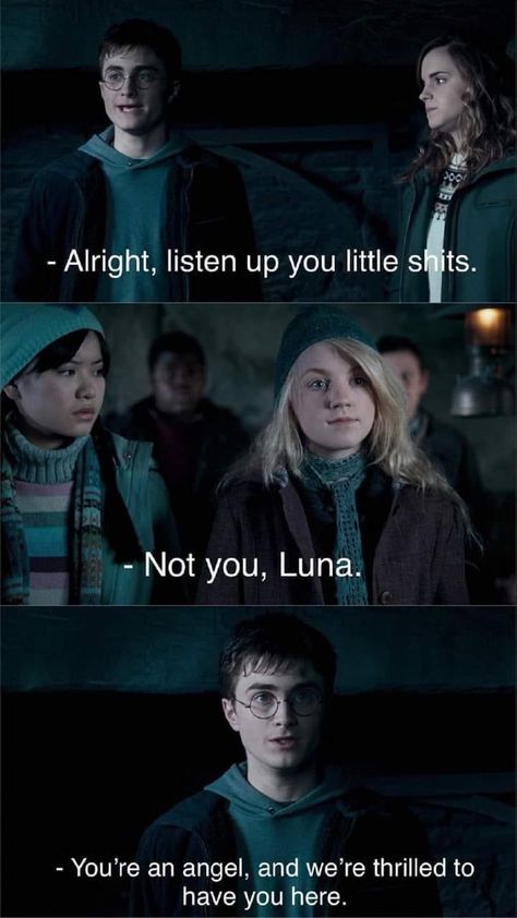 Meme Harry Potter, Citate Harry Potter, Glume Harry Potter, Funny Harry Potter Jokes, Harry Potter Memes Hilarious, Buku Harry Potter, Harry Potter Feels, Harry Potter Puns, Harry Potter Images