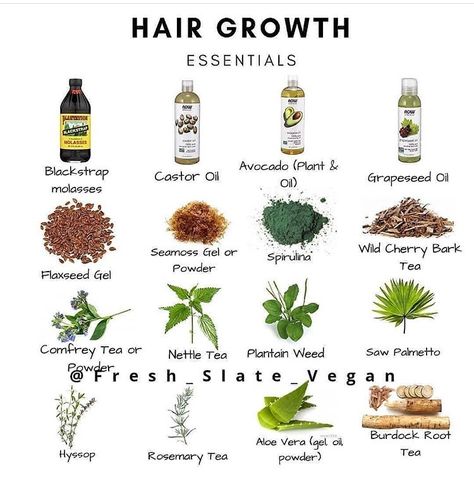 Herbs For Alopecia, Nettle Tea, Herbs For Hair Growth, Herbs For Hair, Healthy Natural Hair Growth, 4b Hair, Magia Das Ervas, Hair Remedies For Growth, Homemade Hair Products