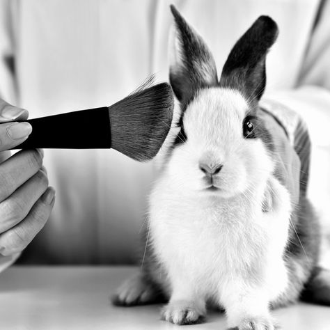 Jan. 1, 2020 -- Starting New Year’s Day, three states are now proudly cruelty-free. California, Nevada, and Illinois officially banned the sale of beauty products tested on animals. Animal Cruelty Art, Utopia Dystopia, Stop Animal Testing, Real Fish, Social Campaign, Stop Animal Cruelty, Cruelty Free Makeup, Printing Business, Animal Welfare