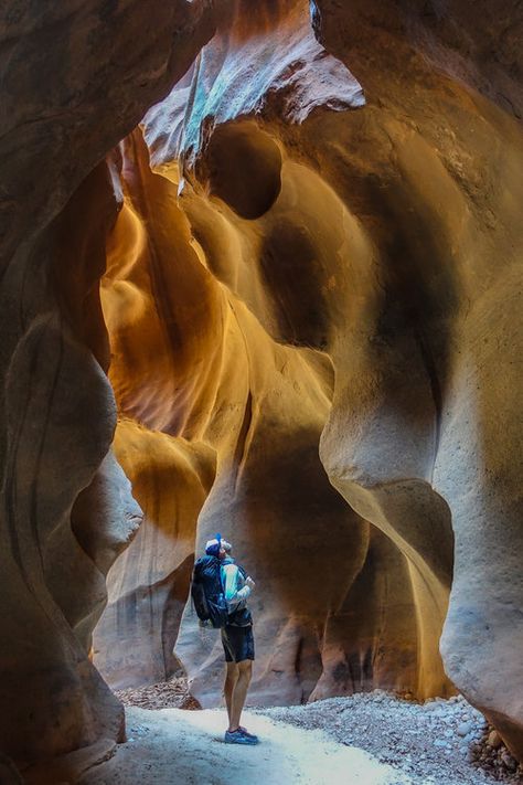 Powell Lake, Sabbatical Ideas, Buckskin Gulch, Slot Canyons Utah, Paria Canyon, Vermillion Cliffs, Travel Utah, Utah Parks, Zion Park