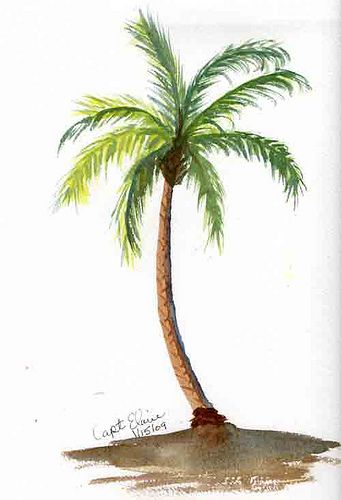 Oak Tree Drawings, Journal January, Palm Tree Drawing, Bordados Tambour, Palm Trees Painting, Palm Tree Art, Tree Artwork, Tropical Tree, Watercolor Trees