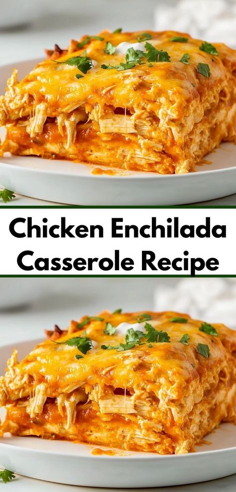 Need a crowd-pleaser for your next gathering? Discover the delightful layers of this Chicken Enchilada Casserole, packed with tender chicken and zesty sauce. It's a fantastic option for family-friendly dinner recipes. Easy Chicken Enchilada Casserole, Chicken Enchilada Casserole Recipe, Yummy Casserole Recipes, Cheesy Chicken Enchiladas, Enchilada Casserole Recipes, Chicken Enchiladas Easy, Homemade Enchilada Sauce, Chicken Enchilada Casserole, Enchilada Casserole