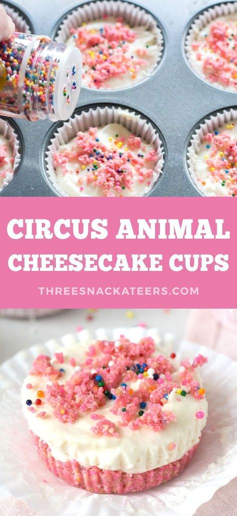 Kids and adults alike will love these Magical Cheesecake Cups! Make these Circus Animal Cheesecake Cups for parties, holidays, baby showers, birthdays, and more! It's an easy, no bake dessert recipe that is sure to be a hit! Cheesecake Snacks, Circus Animal Cheesecake, Whimsical Circus, Cheesecake Cups Recipe, Cheesecake Cups, Homemade Dessert, Cheesecake Cookies, Food Sweet, Cookie Crust