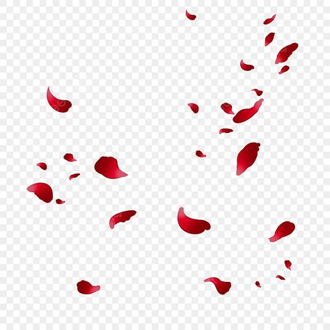 Red Flower Background Design, Png For Graphic Design, Rose Petals Background, Rose Petals Drawing, Falling Flower Petals, Red Flowers Png, Red Roses Png, Rose Flower Background, Funeral Background