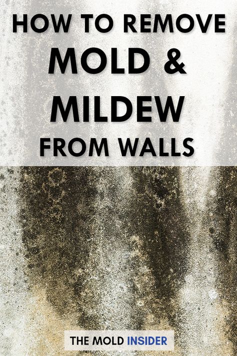 How To Remove Black Mold From Walls, Homemade Mold Remover, How To Clean Mold Off Walls, Getting Rid Of Mold On Walls, How To Remove Mildew From Clothes, Best Mold And Mildew Remover, Mold Remover Bathroom Walls, How To Remove Mold From Basement Walls, Clean Mold Off Walls