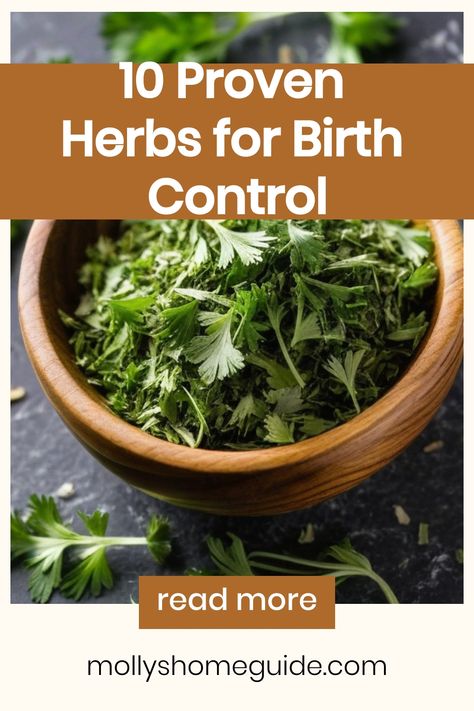 Explore the natural world of herbs for birth control and hormone balance. Discover the power of contraceptive herbs in maintaining reproductive health. Learn about effective herbal remedies for natural birth control. Find out which herbs promote hormone balance to support overall wellness. Dive into the benefits of using herbs as a safe alternative to traditional birth control methods. Uncover valuable information on which herbs to avoid during pregnancy and how certain herbs can help prevent mi Herbal Birth Control Natural, Herbs For Bv, Natural Contraception Herbs, Herbs For Birth Control, Natural Birth Control Methods, Herbs To Avoid During Pregnancy, Herbal Birth Control, Natural Contraception Methods, Herbal Contraceptive