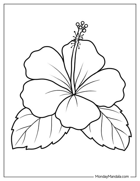 Printable Sunflower Coloring Page, Traceable Flower Drawings, Cute Drawing Ideas Easy Flowers, Hawaiian Flower Coloring Pages, Easy Coloring Drawings, Images To Color Free Printable, Printable Coloring Pages Flowers, Drawings To Colour In, Hibiscus Coloring Page