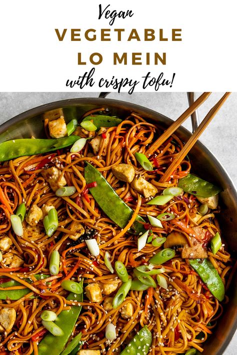 Vegan Noodle Sauce, Tofu Chow Mein, Tofu Lo Mein, Vegan Chow Mein Recipe, Vegan Lo Mein Recipe, Vegan Rice Noodle Dishes, Plant Based Chinese Recipes, Vegan Noodle Dishes, Vegan Rice Noodles