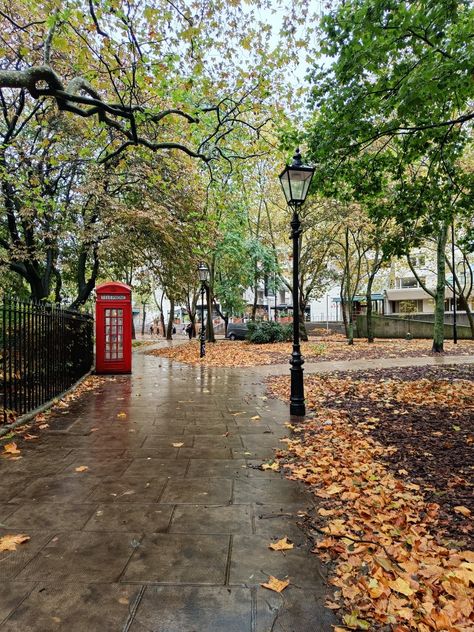 York Autumn Uk, London In October Aesthetic, Fall In England Uk, London November Aesthetic, London In November Aesthetic, London In Autumn Aesthetic, London Suburbs Aesthetic, Fall In London Aesthetic, Autumn In London Aesthetic