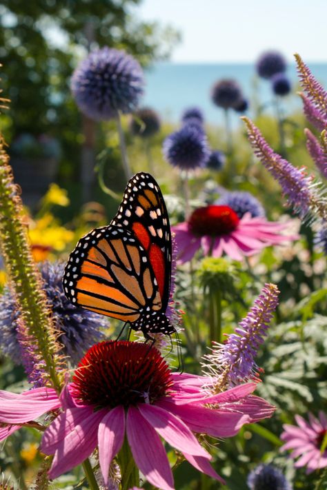 Grow Butterflies, Wild Flower Quotes, Butterfly Feeders, Butterfly Feeder, Hummingbird Plants, Plant Stakes, Butterfly Plants, Best Perennials, Garden Insects