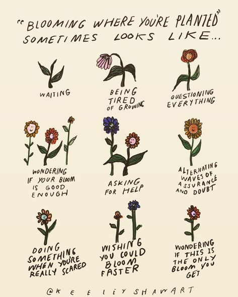 Drop three 💐💐💐 in the comments if you needed to see this today! ❤️We are all planted in different places, with different conditions, and varying needs. I have a tendency to compare my place in life to the people I grew up with, but here’s the thing. After finishing school, I was dealing with some serious academic burnout and self-esteem issues. This meant that I didn’t go to university, for these, and other, reasons. Then there was a GLOBAL PANDEMIC. Completely unprecedented and not what I ex Bloom Quotes Inspirational, Academic Burnout, 2023 Dream Board, Bloom Quotes, Growing Quotes, Mental Health Inspiration, Find Purpose, Self Esteem Issues, Bloom Where Youre Planted