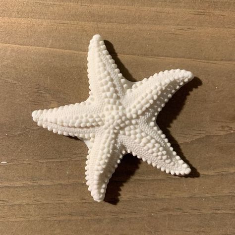 Clay Starfish, Starfish Sculpture, Flowers Fondant, Star Sea, Sea Starfish, Summer Vsco, Sea Flowers, Royal Icing Flowers, Icing Flowers