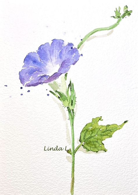 Watercolor morning glory Morning Glory Watercolor, Morning Glory Flowers, Learn Watercolor Painting, Watercolor Flowers Tutorial, Watercolor Paintings For Beginners, Watercolor Lessons, Watercolor Pictures, Diy Watercolor Painting, Floral Drawing