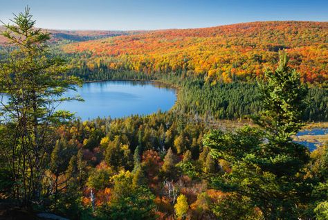 The Land of 10,000 Lakes is turning 157 years old today.  15 Things You Might Not Know About Minnesota | Mental Floss Temperate Deciduous Forest, Autumn Lake, Road Trip Adventure, Blue Lake, Leaf Nature, Autumn Landscape, Nature Reserve, Fall Foliage, Natural Environment