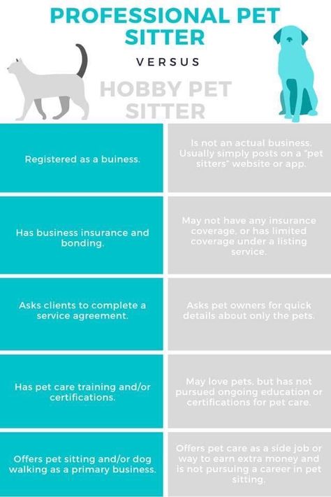 Pet Sitting Contract, Pet Services Business, Pet First Aid, Pet Care Business, Pet Services, Pet Sitting Services, Dog Business, Pet Care Tips, Pet Sitting