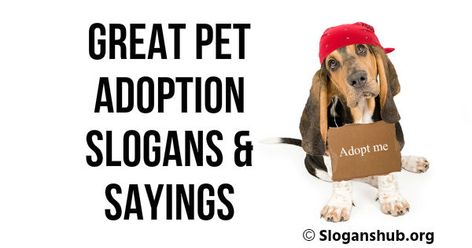 A list of 37+ best pet adoption slogans & sayings to encourage people to adopt pets and animals....Keep calm and Adopt a pet, Looking for a good time? Adopt a shelter dog, Saving a life will change yours. Adopt.... May the fur be with you and many other catchy and memorable pet and animal adoption phrases & ... Pet Adoption Poster Ideas, Rescue Dog Quotes Adoption, Dog Adoption Poster Design, Animal Shelter Fundraiser Ideas Events, Pet Adoption Event Ideas, Pet Adoption Poster, Dog Adoption Event Ideas, Dog Rescue Quotes, Animal Adoption Quotes